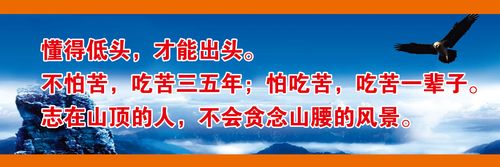 北汽eu5胎压报警图乐鱼体育全站片(北汽eu5胎压报警怎么匹配)